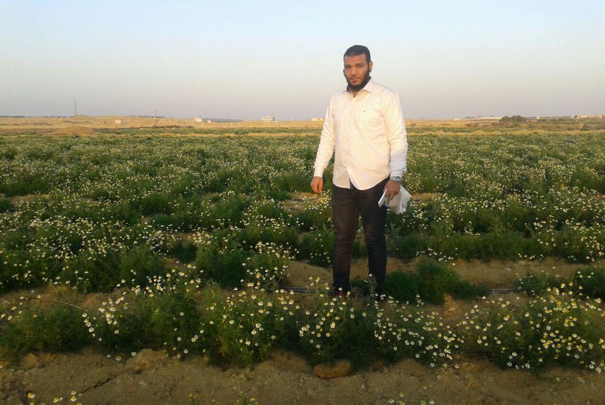 Farmer Training in Egypt